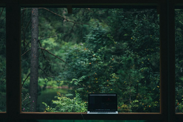 Laptop with a forest background