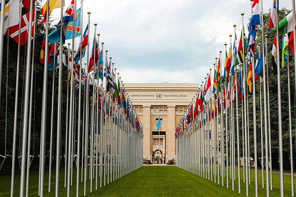 Country flags in front of the United Nations office