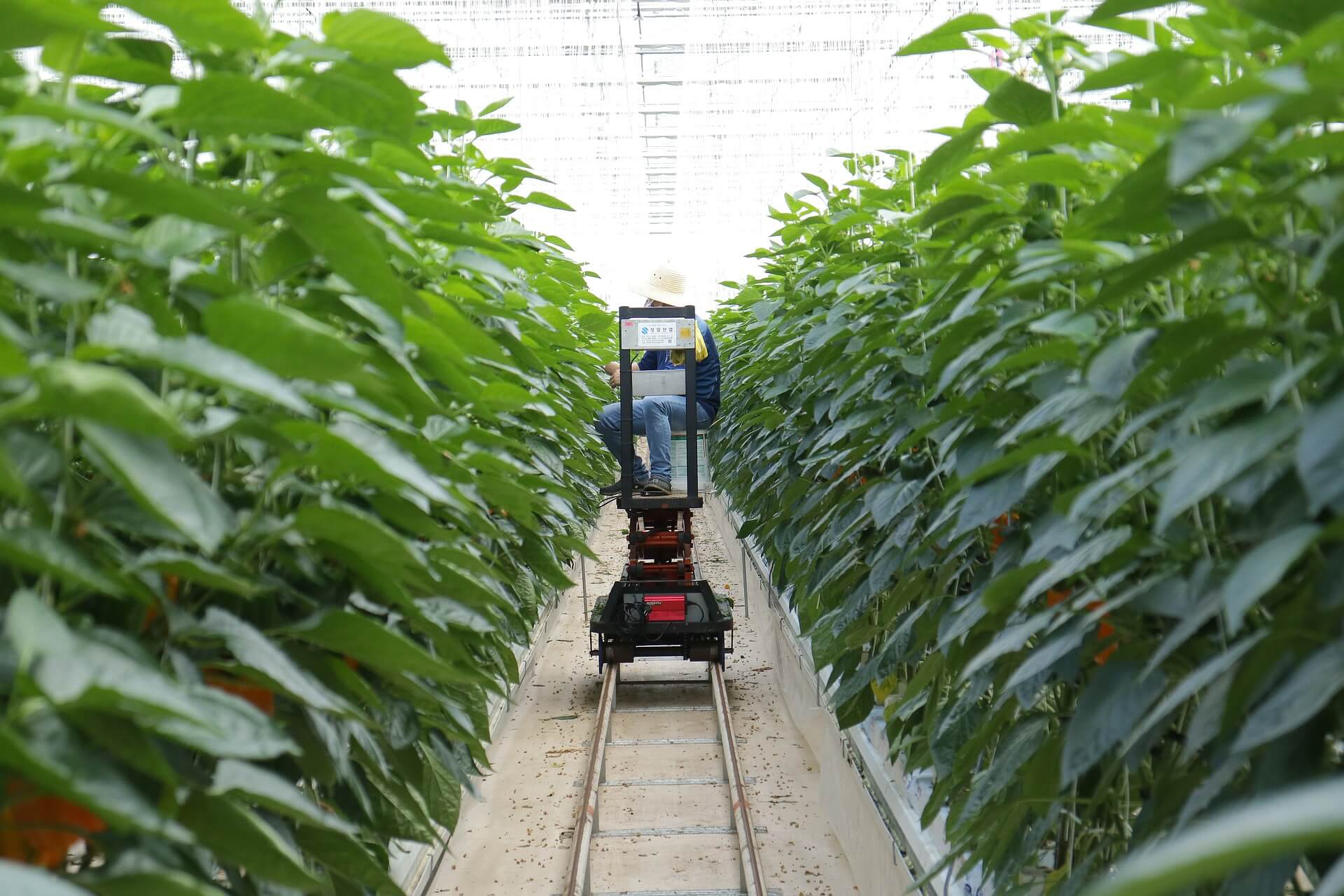 From Smart Farming to Autonomous Agriculture: The Power of Embedded Technologies and AI